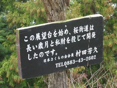 徳島のチェリーロード